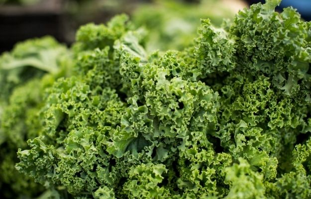 green fresh kale | Cruciferous vegetables | Epigenetic Adaptogens: What They Are And Why They Matter
