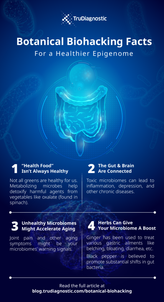Infographic | TD_Botanical Biohacking Facts INFOG