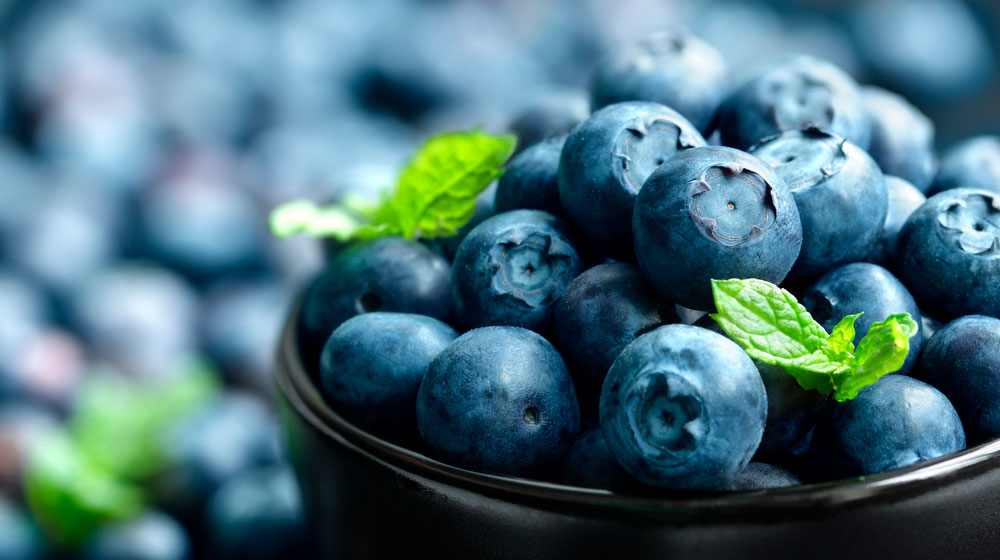 bowl-of-blueberries-close-up