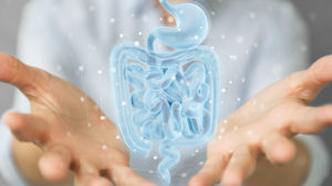 human-colon-3D-rendering | Feature | Study Shows Differences in Left vs Right Colon in Black vs White Individuals