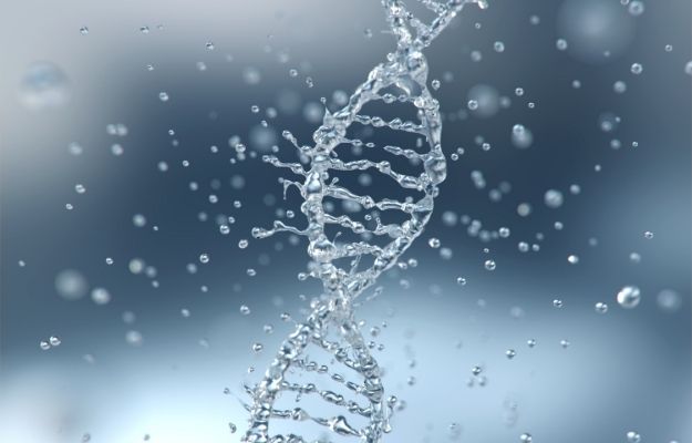 DNA visualisation in white twisted shape | Epigenetics | Researchers Discover DNA in Umbilical Cord Can Diagnose Autism Early