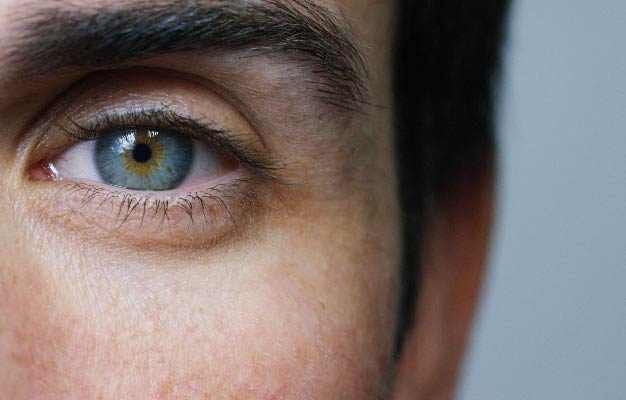 Human eyesight | Findings | Restore Eye Sight By Turning Back Epigenetic Clock