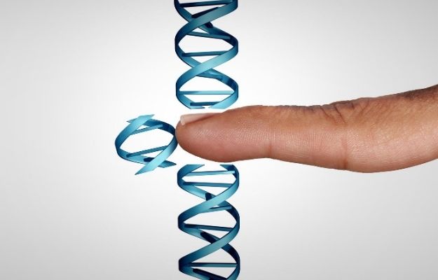 a finger cut the blue gene | Researchers Turn Off Key ALS Gene