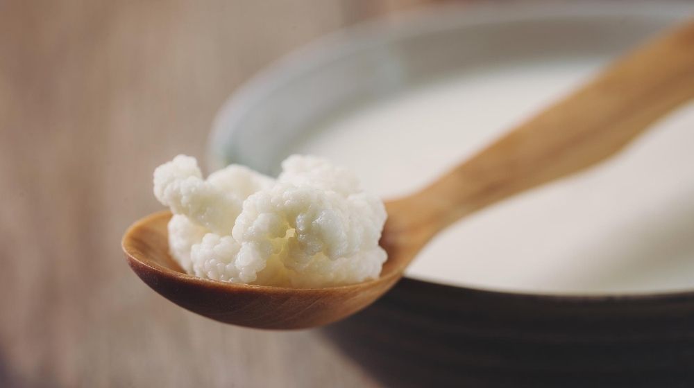 a spoon of kefir peptides | Feature | Kefir Peptides Ease High-Fat Diet-Induced Atherosclerosis