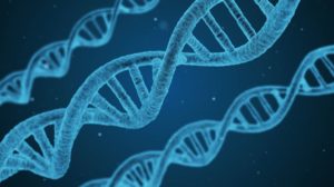 dna viusalisation with twisted blue shape | Feature | Researchers Discover DNA in Umbilical Cord Can Diagnose Autism Early