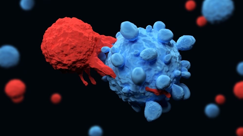 immune system cell is killing a cancer cell | Feature | Ancient DNA Can Activate Immune Response to Kill Cancer Cells