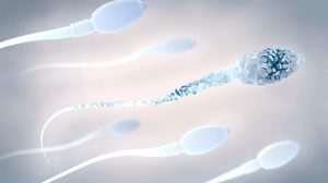 sperm visualise in blue | Improve Sperm Health With These 9 Epigenetic Factors | feature