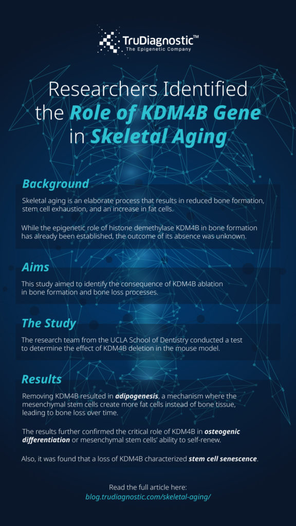 TD_Researchers Identified the Role of KDM4B Gene in Skeletal Aging_FB IGS PIN | Infographic | Researchers Identified the Role of KDM4B Gene in Skeletal Aging
