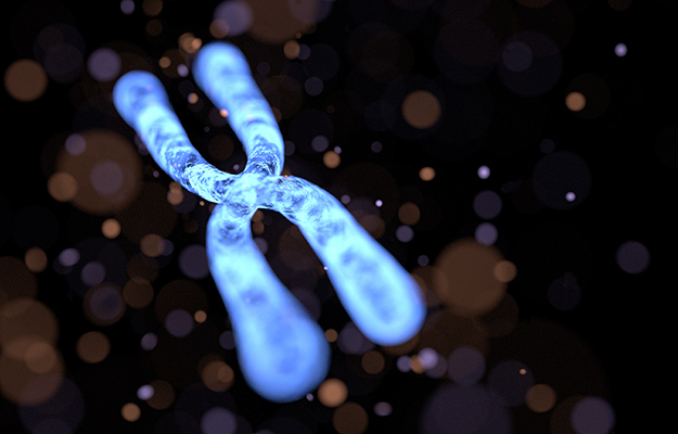 blue rendering of chromosome on blackground | Study Suggests Epigenetic Rejuvenation Holds the Key to Restrict Organismal Aging | relevant picture
