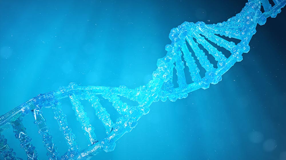 3D render of DNA on blue scientific background | Feature | Study Finds Epigenetic System of Inheritance Dominates Over Genetic Mutations in Unstable Environments