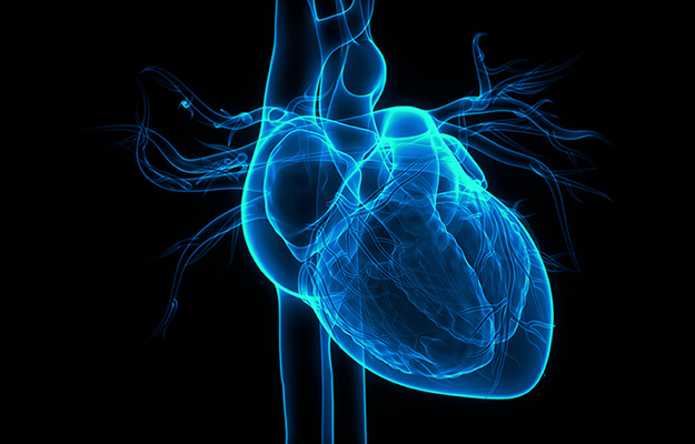 3d render illustration of human heart in blue | The Role and Connection Between Epigenome in Heart Failure