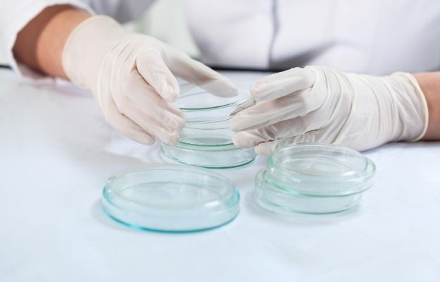 Scientist wearing gloves and holding samples | Can We Get Rid of Senescent Cells Naturally?
