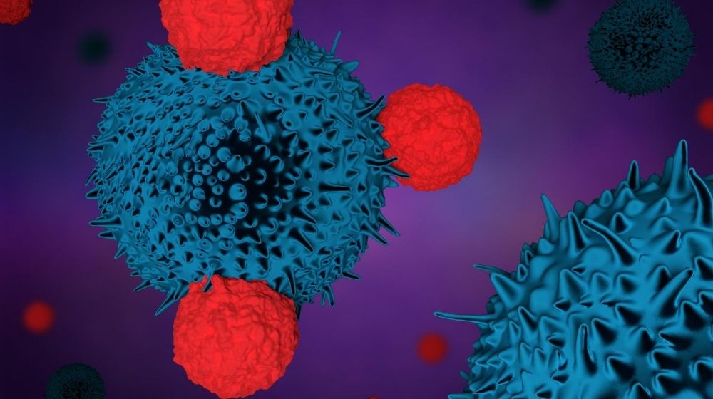 blue immunotherapy is visulized in blue surrounded by red cells | Feature | Can We Get Rid of Senescent Cells Naturally?